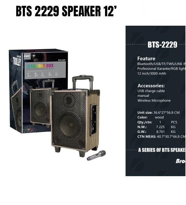BTS-2229 12 Inch Portable Trolley Speaker