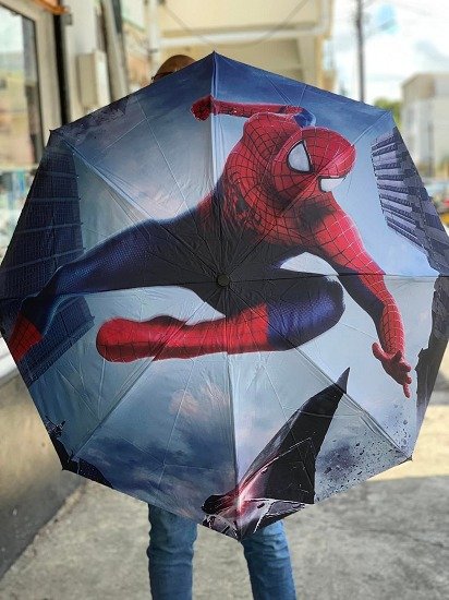 Spiderman Design Kids Umbrella