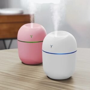 Mini Portable Humidifier - 220ml