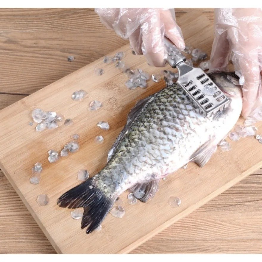 Stainless Steel Fish Scale Remover